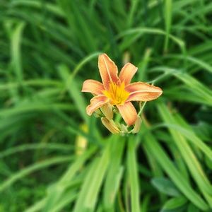 Meet your Posher, Jaylynn